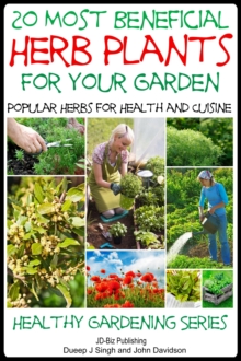 20 Most Beneficial Herb Plants for Your Garden