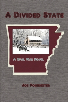 Divided State: A Civil War Novel