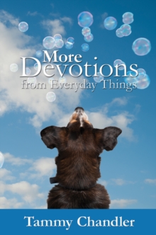 More Devotions from Everyday Things