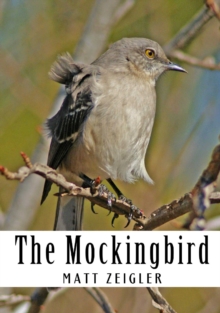 Mockingbird