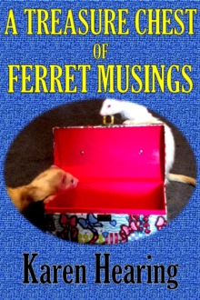 Treasure Chest of Ferret Musings