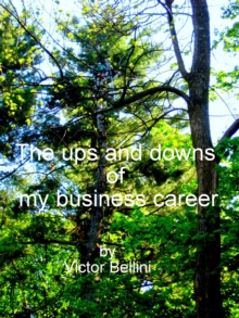 Ups And Downs Of My Business Career