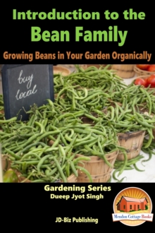 Introduction to the Bean Family: Growing Beans in Your Garden Organically