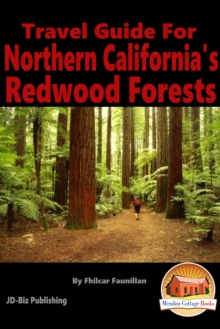 Travel Guide for Northern California's Redwood Forests