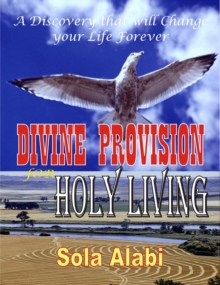 Divine Provision for Holy Living: A Discovery that will Change Your Life Forever