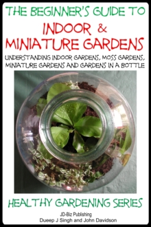 Beginner's Guide to Indoor and Miniature Gardens