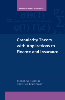 Granularity Theory with Applications to Finance and Insurance