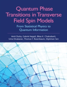 Quantum Phase Transitions in Transverse Field Spin Models : From Statistical Physics to Quantum Information