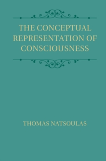 Conceptual Representation of Consciousness