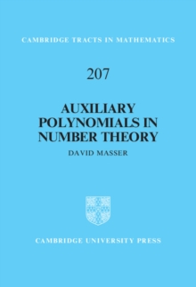 Auxiliary Polynomials in Number Theory