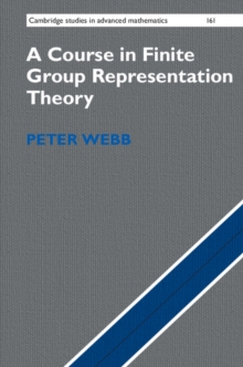 Course in Finite Group Representation Theory