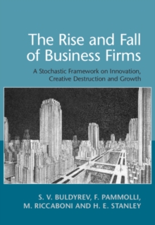 The Rise and Fall of Business Firms : A Stochastic Framework on Innovation, Creative Destruction and Growth