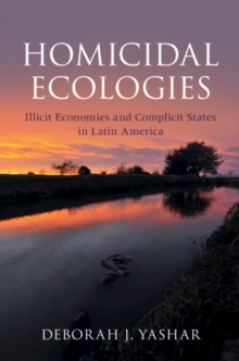 Homicidal Ecologies : Illicit Economies and Complicit States in Latin America