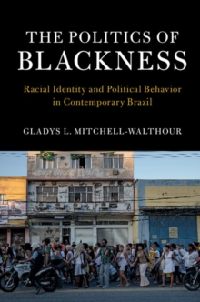 Politics of Blackness : Racial Identity and Political Behavior in Contemporary Brazil