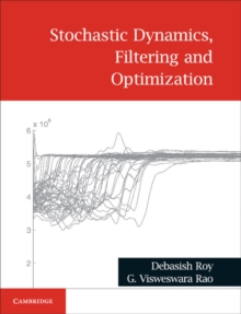 Stochastic Dynamics, Filtering and Optimization