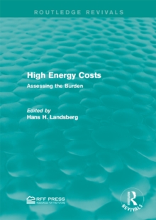 High Energy Costs : Assessing the Burden