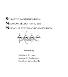 Synaptic Modification, Neuron Selectivity, and Nervous System Organization