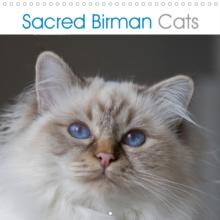 Sacred Birman Cats 2020 : Blue eyes, white paws - The Birman Cats calendar, Calendar Book Sacred Birman Cats 2020 : Blue eyes, white paws - The Birman Cats calendar, Calendar Book