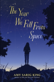 The Year We Fell From Space, Hardback Book The Year We Fell From Space, Hardback Book