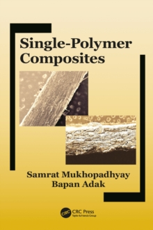 Single-Polymer Composites