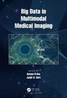 Big Data in Multimodal Medical Imaging