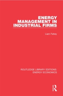 Energy Management in Industrial Firms