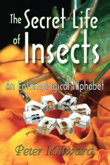 The Secret Life of Insects : An Entomological Alphabet