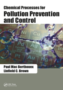 Chemical Processes for Pollution Prevention and Control