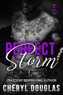 Perfect Storm (Second Chance Romance) : The Exes, #3