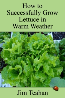 How to Successfully Grow Lettuce in Warm Weather