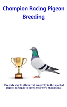 Champion Racing Pigeon Breeding