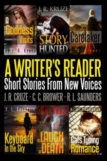 Writer's Reader: Short Stories From New Voices : Short Story Fiction Anthology