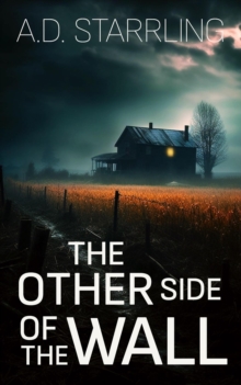 Other Side of the Wall (A Short Horror Story)