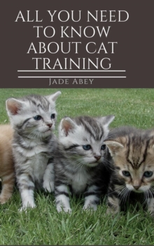 All You Need to Know About Cat Training