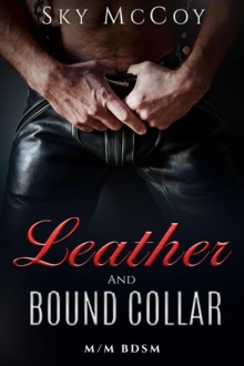 Leather and Bound Collar : Leather and Chrome, #4