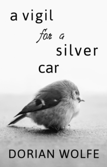 Vigil for a Silver Car