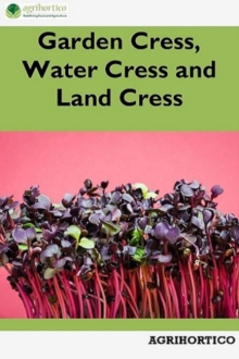 Garden Cress, Water Cress and Land Cress