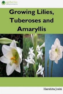 Growing Lilies, Tuberoses and Amaryllis