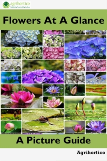 Flowers at a Glance: A Picture Guide