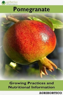 Pomegranate: Growing Practices and Nutritional Information