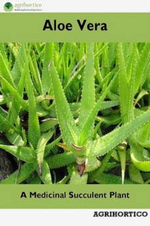 Aloe Vera: A Medicinal Succulent Plant