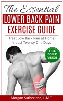 Essential Lower Back Pain Exercise Guide