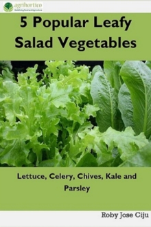 5 Popular Leafy Salad Vegetables