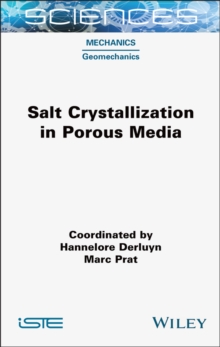 Salt Crystallization in Porous Media