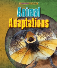 Animal Adaptations