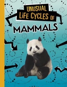 Unusual Life Cycles of Mammals