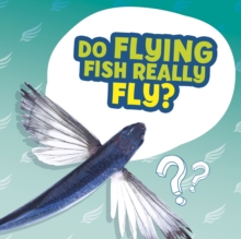 Do Flying Fish Really Fly?