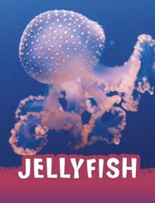 JELLYFISH