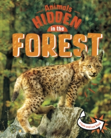 Animals Hidden in the Forest