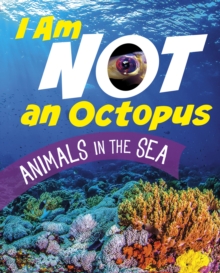 I Am Not an Octopus : Animals in the Ocean